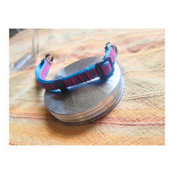 Red and Blue Stripped Adjustable Small Pet Collar - Picture 4 of 5